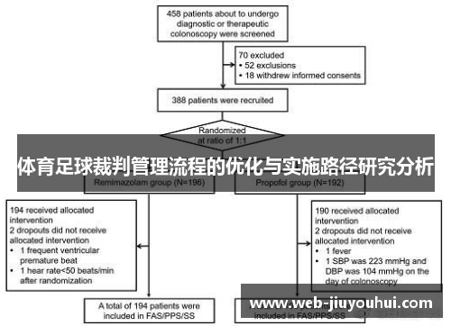 体育足球裁判管理流程的优化与实施路径研究分析