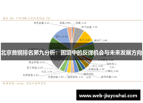 北京首钢排名第九分析：困境中的反弹机会与未来发展方向