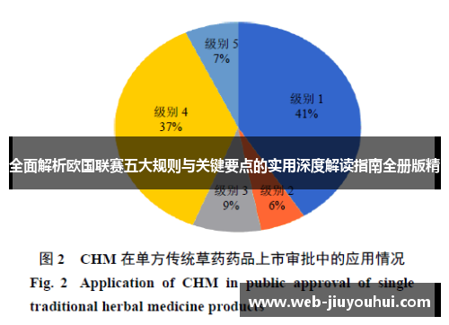 全面解析欧国联赛五大规则与关键要点的实用深度解读指南全册版精